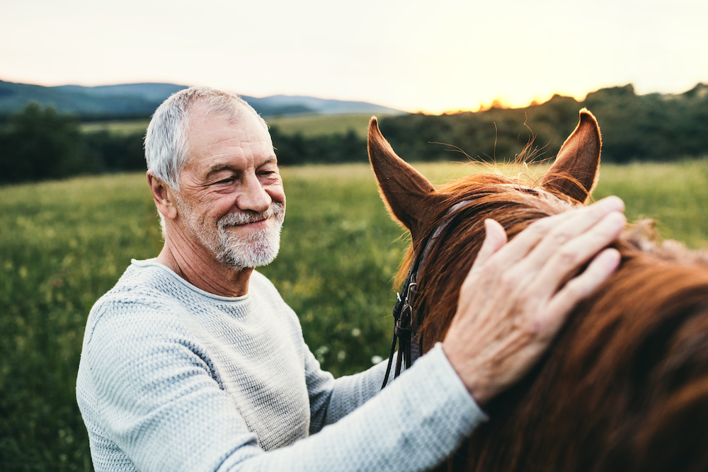 For which conditions should you use CBD products for your horse?