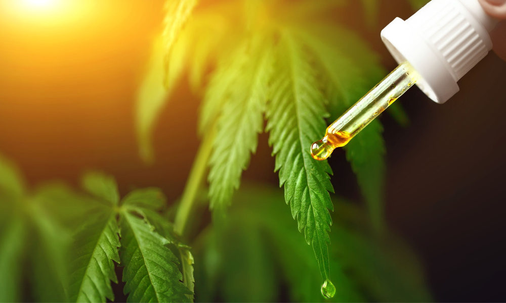Arthritis and CBD – Know The Effects of CBD Products on This Issue 