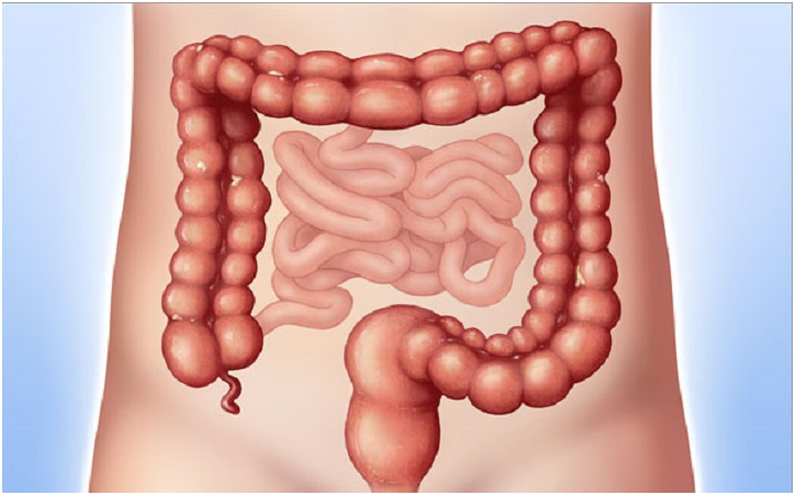 The Importance of Regular Colonoscopy Screening for Colorectal Cancer Prevention