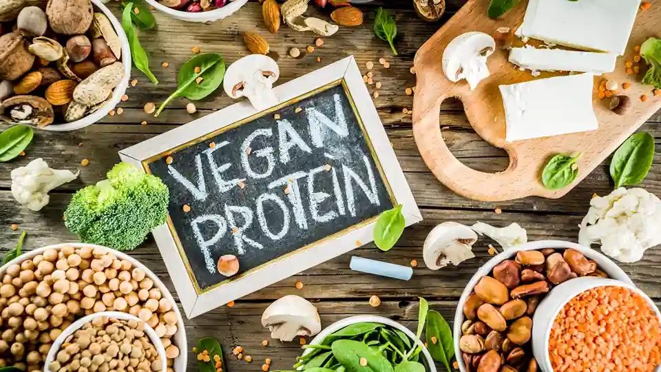 5 Factors To Remember Before Incorporating Plant Protein Into Your Diet