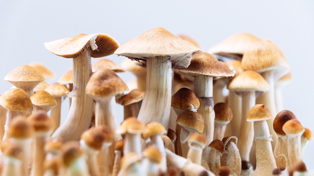 Health benefits of using the best magic mushroom gummies